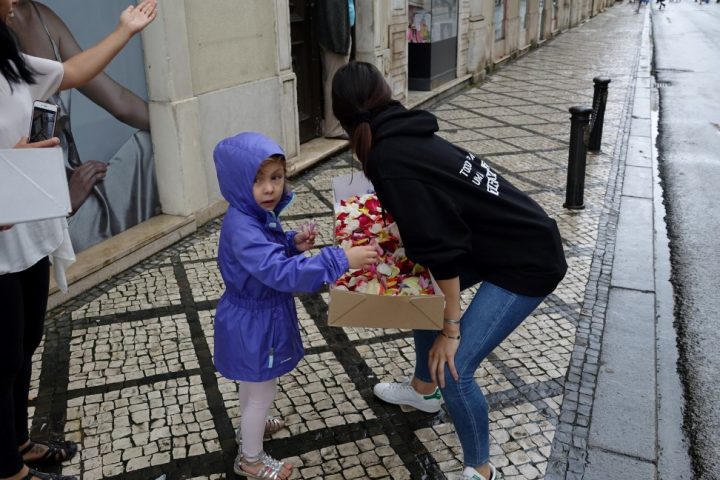 DSC04454 Custom Custom